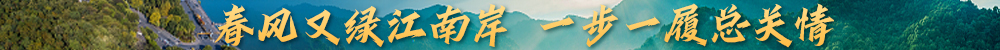 春风又绿江南岸 一步一履总关情